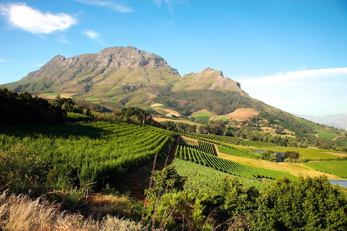 Wunderschöne Aussicht auf die Weingärten und die Berge im Weingebiet außerhalb von Cape Town