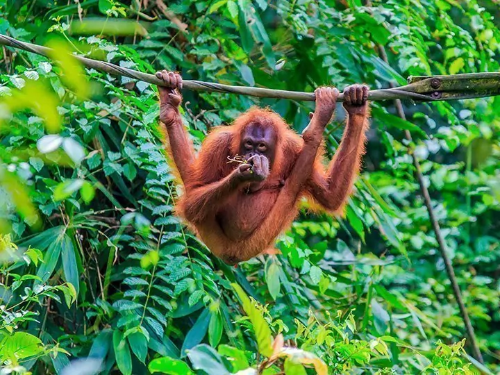 Praktische Informationen rund um Indonesien