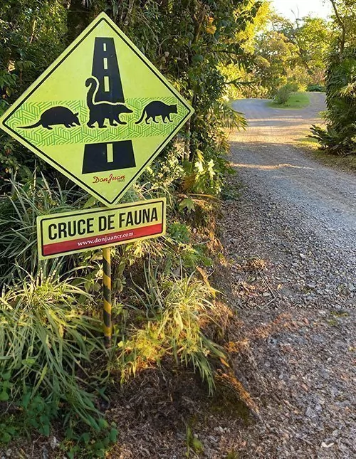 Selbstfahrer-Urlaub - Costa Ricas Höhepunkte mit Badeurlaub in Manuel Antonio