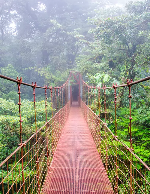 Ein Hauch von Costa Rica