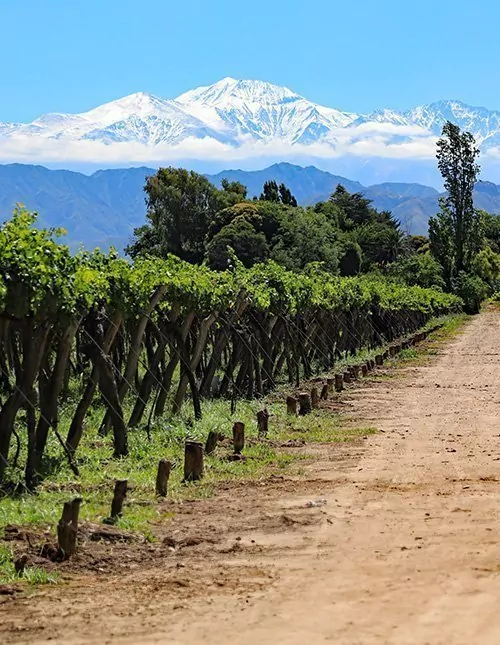 Chile & Argentinien: Anden, Wein & Iguazú