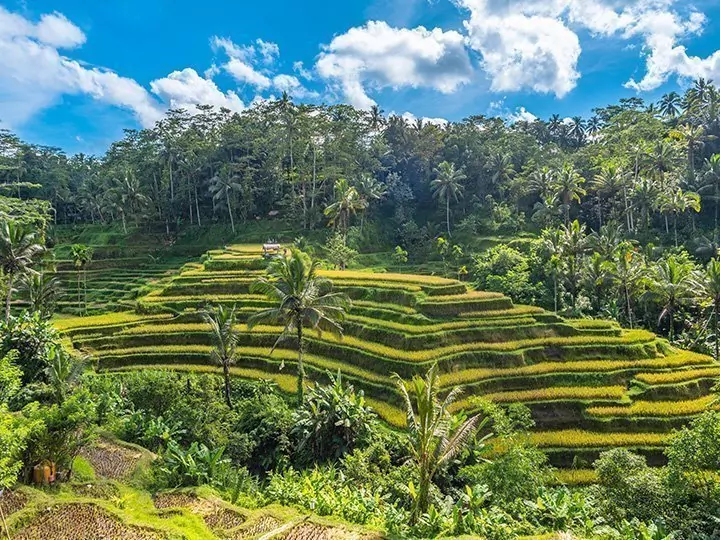 Balis Höhepunkte & Badeurlaub in Sanur
