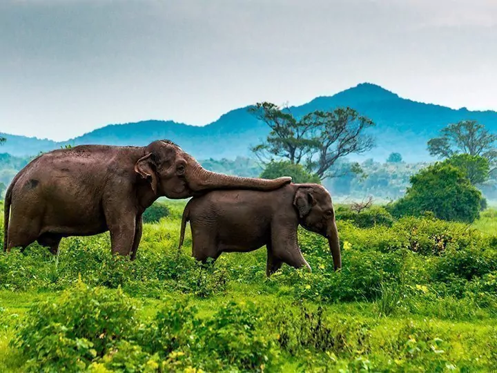 Praktische Informationen rund um Sri Lanka