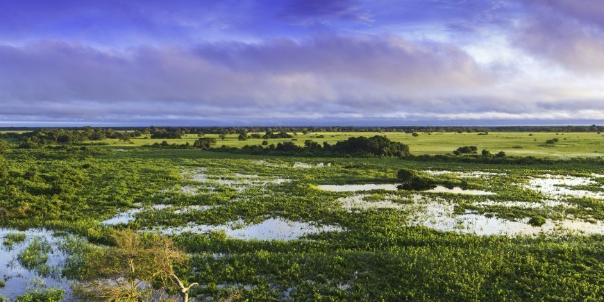 1 Pantanal Feuchtgebiet Brasilien R