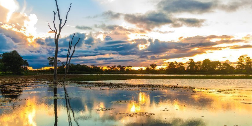 10 Pantanal Feuchtgebiet R