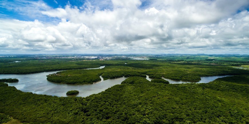 4 Amazonas