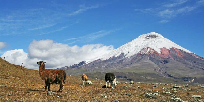 Cotopaxi Nationalpark