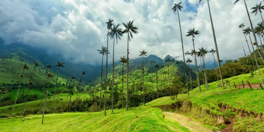 Das Cocora-Tal