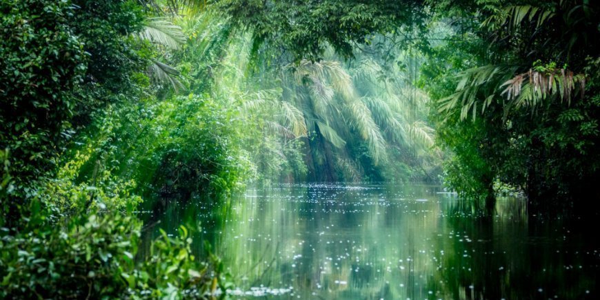 Tortuguero