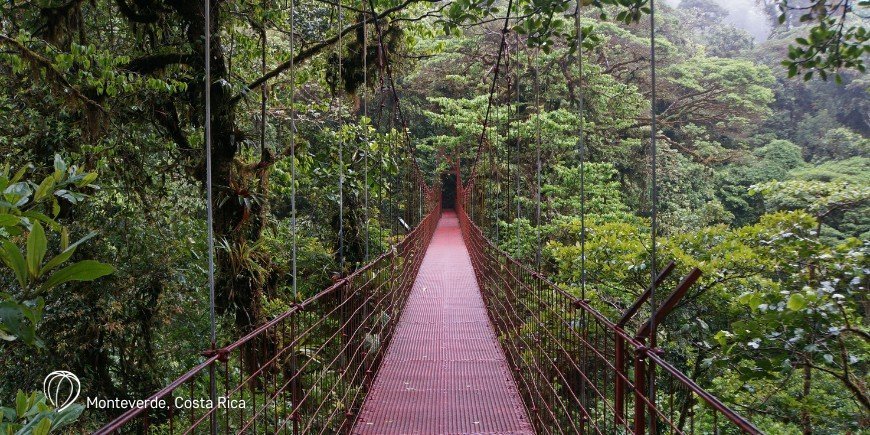 Monteverde in Costa Rica