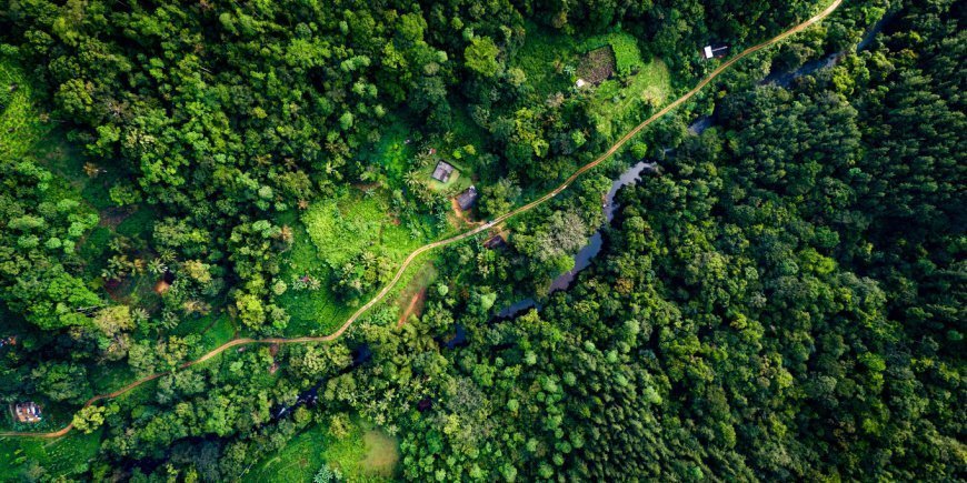 Luftaufnahme vom Sinharaja-Nationalpark in Sri Lanka