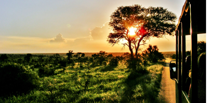 Game Drive bei Sonnenuntergang in Südafrika