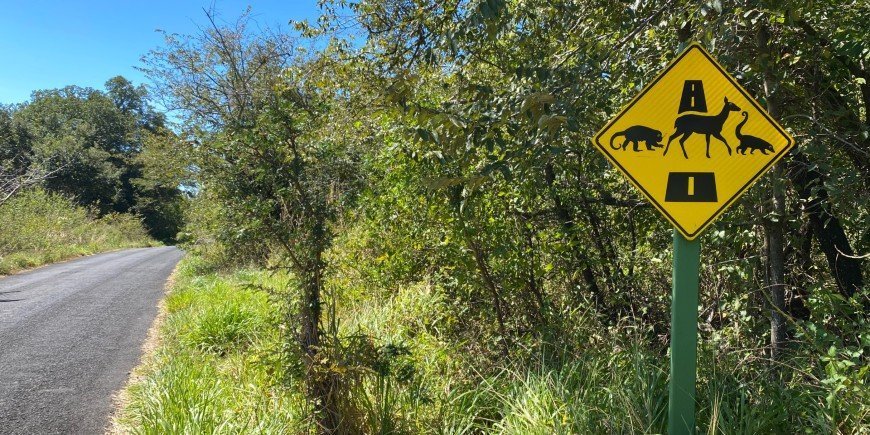 Verkehrsschild, das vor Tieren auf der Straße warnt 