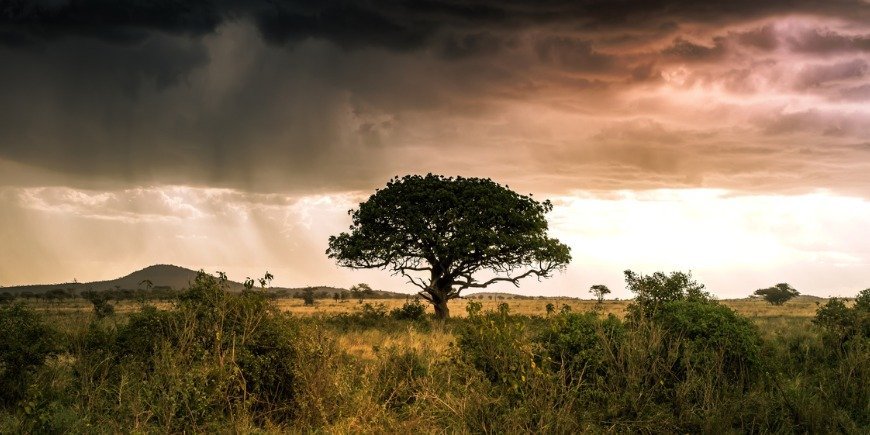 Spektakulärer Himmel mit Regen über der Landschaft der Serengeti, Tansania