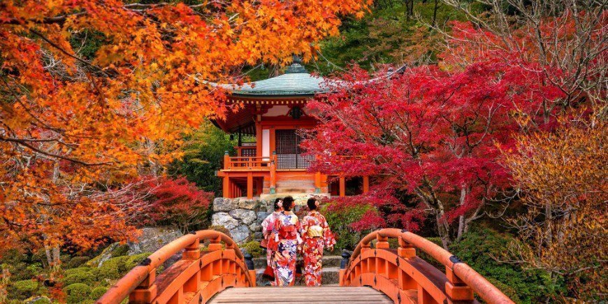 Junge Frau in traditioneller japanischer Yukata am Tempel Daigo-ji im Herbst 