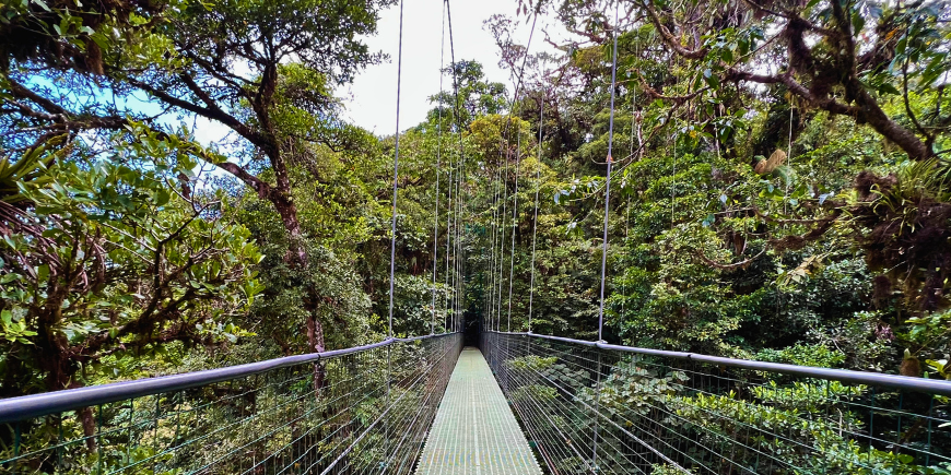 Hängebrücke in Monteverde, Costa Rica