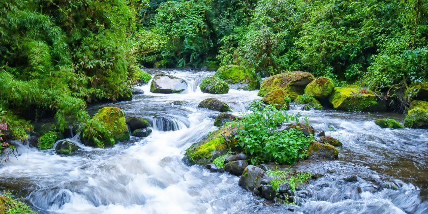 Savegre River in Manuel Antonio, Costa Rica