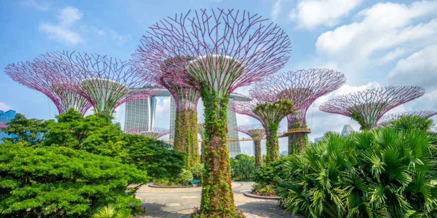 Gardens by the Bay in Singapur