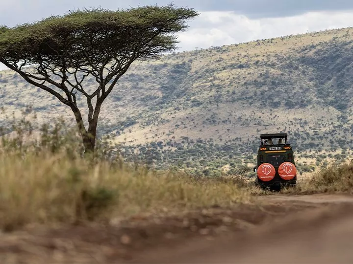 Reisen nach Afrika