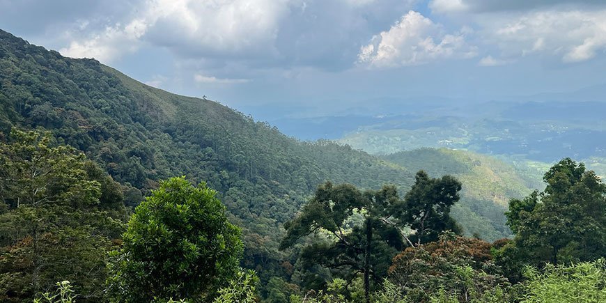Wunderschöne Aussicht in Sri Lanka