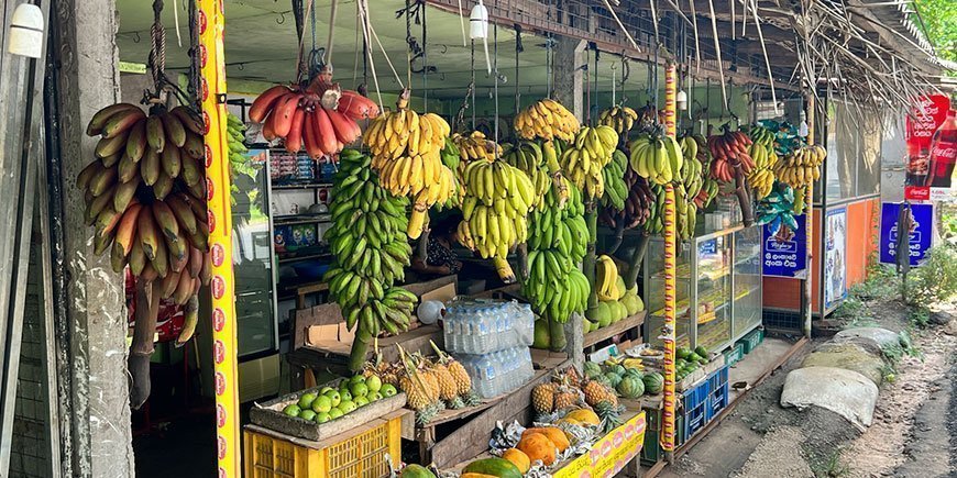 Stand mit verschiedenfarbigen Bananen an der Straße