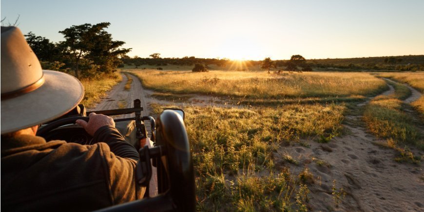 Safari im Sabi Sands Wildreservat