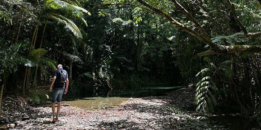 Mann steht im Daintree-Regenwald in Australien