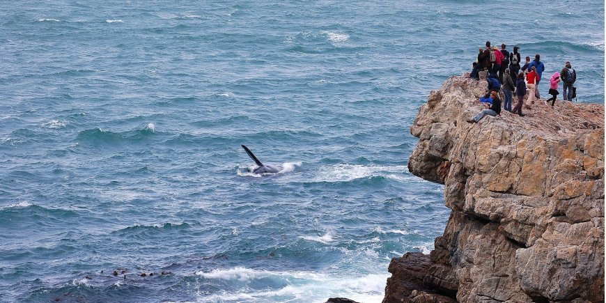 Menschen beobachten einen Wal von einer Felsspitze in Hermanus, Südafrika, aus