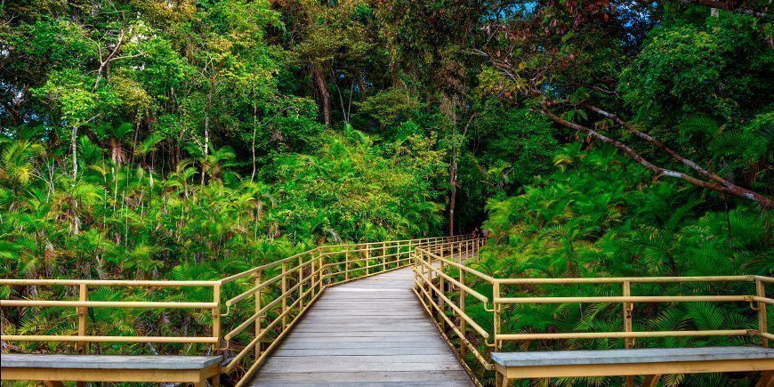 Ein Weg nach Manuel Antonio in Costa Rica