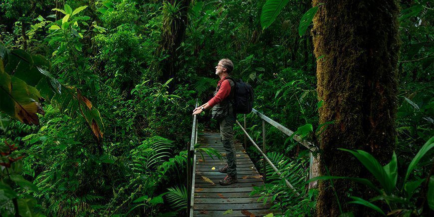 Mann steht auf einer Brücke im costaricanischen Dschungel