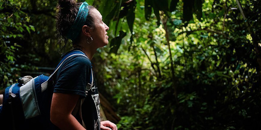 Frauen, die im Dschungel in Costa Rica nach oben schauen