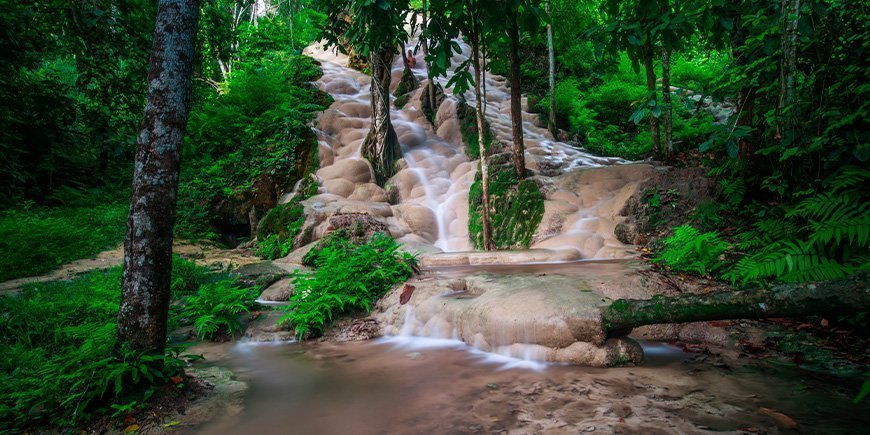 Klebriger Wasserfall Bua Tong in Chiang Mai