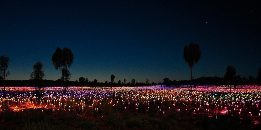 Field of light am Uluru in Australien