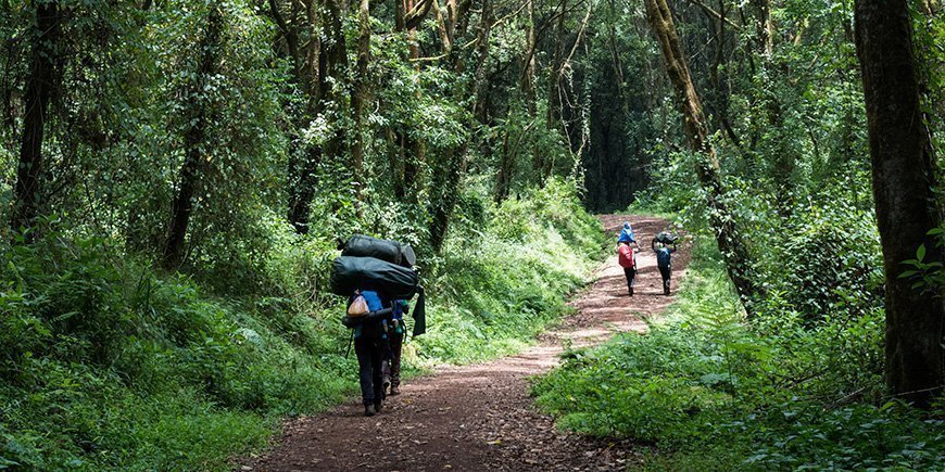 Gepäckträger auf dem Weg zum Kilimanjaro im Regenwald