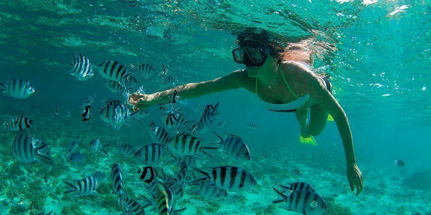 Eine Frau schnorchelt im Indischen Ozean vor Mauritius.
