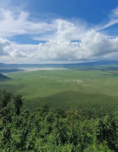 Safari im Tarangire & Ngorongoro und Badeurlaub auf Sansibar