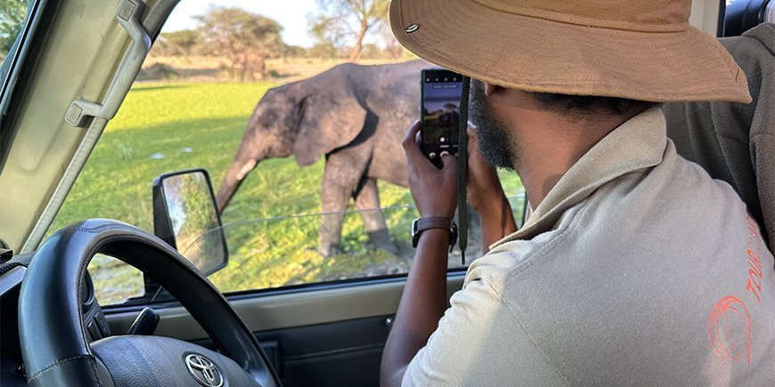 Mann im TourCompass-Hemd fotografiert Elefant in Tansania