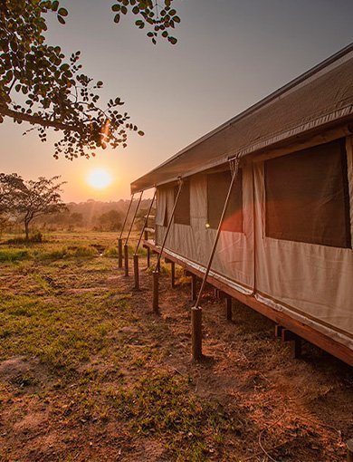Nkambeni Tented Camp, Südafrika