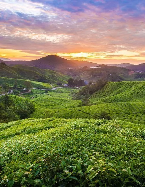 Malaysias Höhepunkte & Badeurlaub auf Langkawi