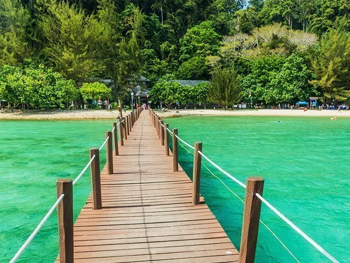 Tierwelt, Trekking auf dem Mt. Kinabalu & Badeurlaub auf der Insel Gaya
