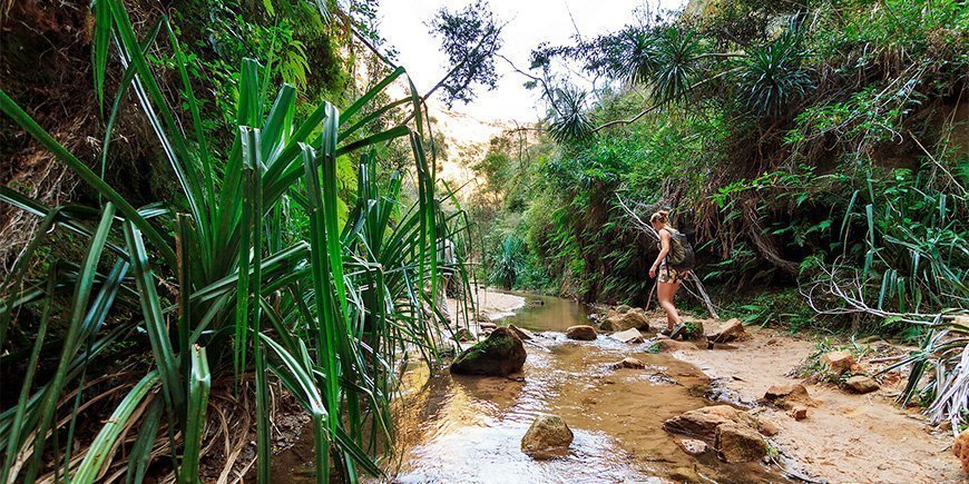Frau wandert im Madagaskar-Nationalpark, Isalo
