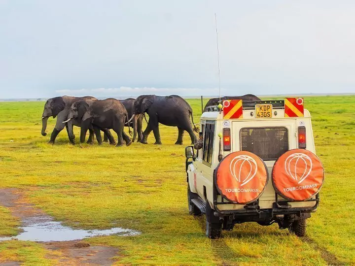 Safari in Kenia & Gorilla-Tracking in Uganda