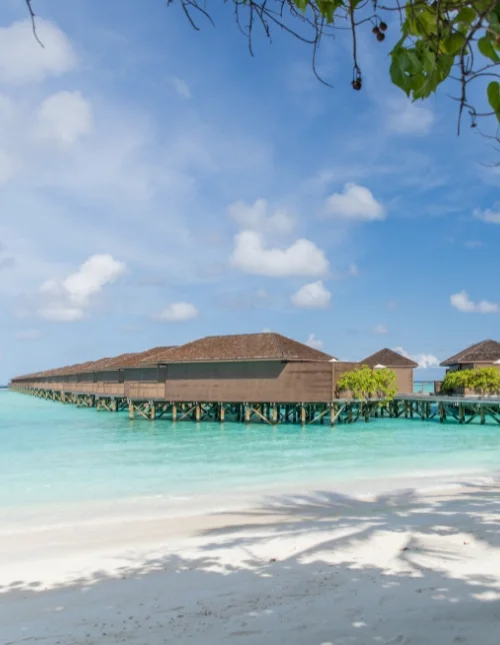 Sri Lankas Höhepunkte & Badeurlaub auf den Malediven