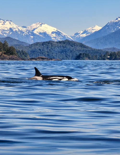 Große Rundreise im Westen Kanadas