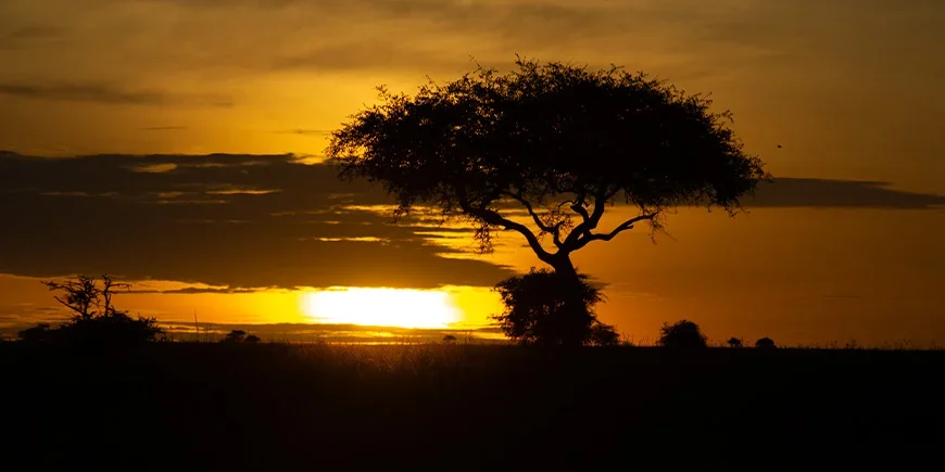 Sonnenaufgang über der Serengeti in Tansania
