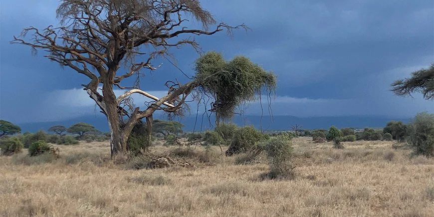 Dramatischer Himmel in Kenia
