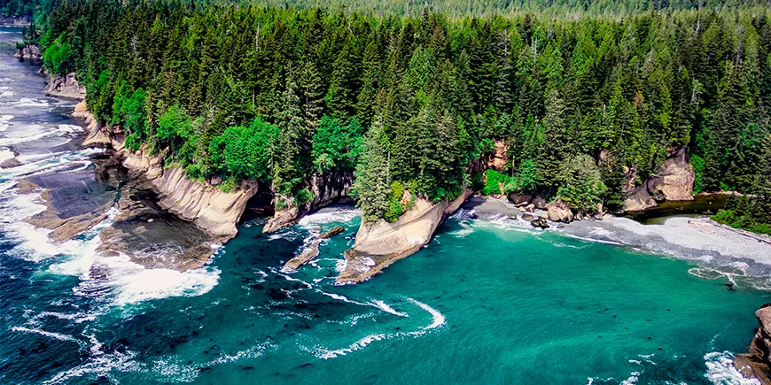 Der Pacific Rim auf Vancouver Island im Westen Kanadas