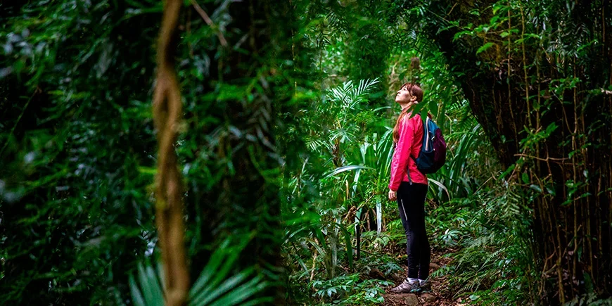Frauen beim Erkunden des Lamington-Nationalparks in Australien