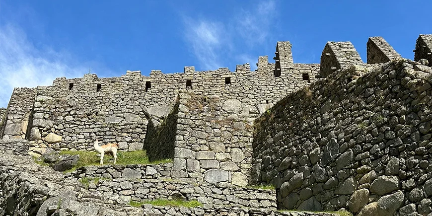 Nah an den Ruinen von Machu Picchu