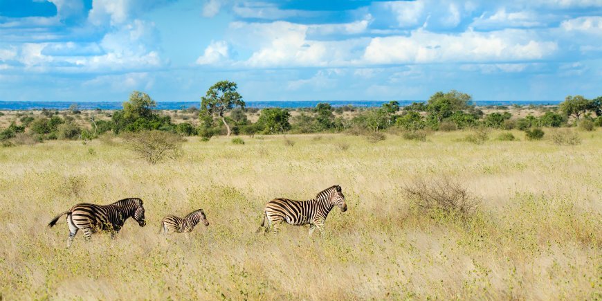 Südafrika